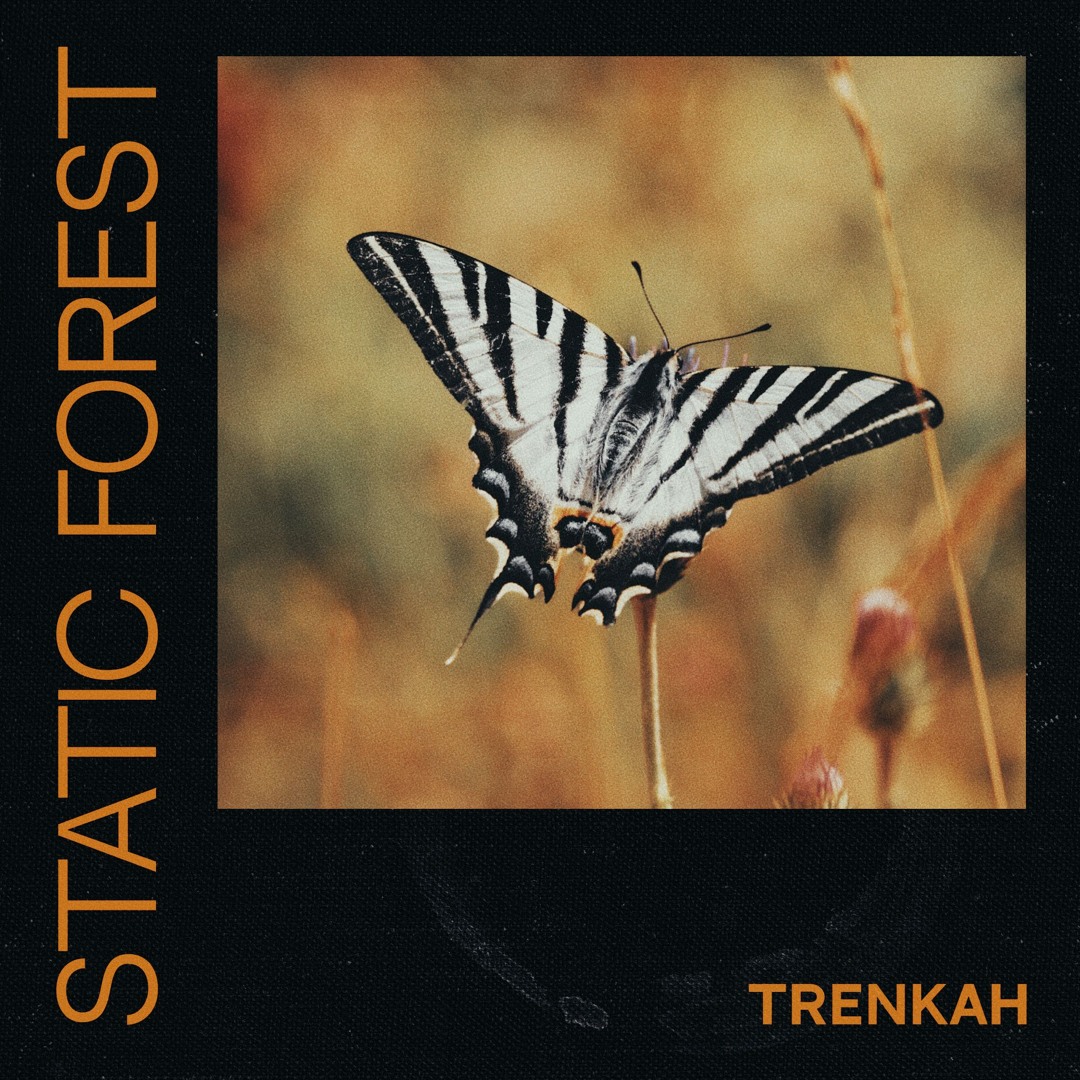 Stream Static Forest by Trenkah | Listen online for free on SoundCloud