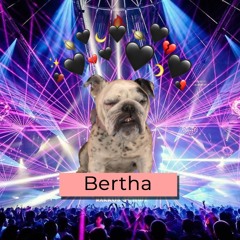 Big Bertha Mix Vol. 1