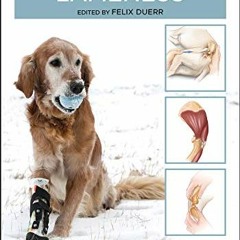 GET [EPUB KINDLE PDF EBOOK] Canine Lameness by  Felix Duerr 🗂️