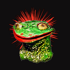Herpetology Section 3/80% Of A Bullfrog's Diet Is That Of Another Bullfrog