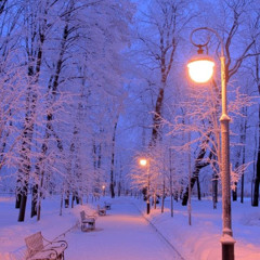 В парке freestyle