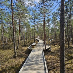 Mõtte Luule