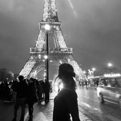 plane to paris (cover)