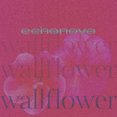 Public Toilet Writings