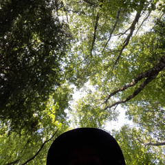 greet yourself arriving