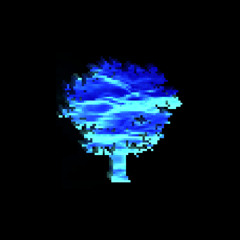 ROOTS