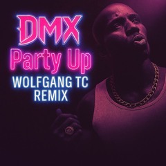 Party Up (Up in Here) -Wolfgang TC Remix