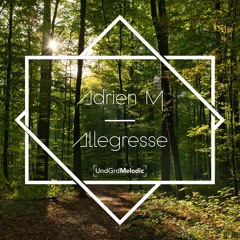 Allégresse (Original Mix)