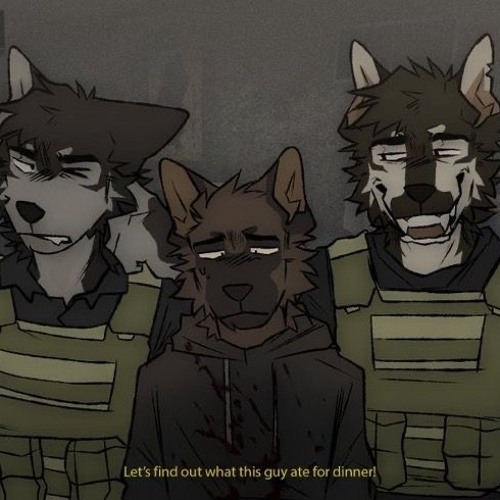 This Playlist