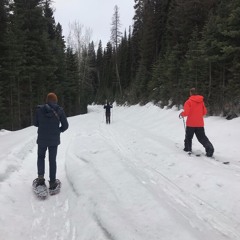 Atlantic Breeze presents the Montana Project on WBFY-LP Belfast Community Radio