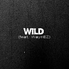 WILD (feat. WaynEZ)