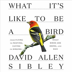 [View] [PDF EBOOK EPUB KINDLE] What It's Like to Be a Bird: From Flying to Nesting, E