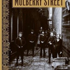 ( tzd ) The King of Mulberry Street by  Donna Jo Napoli ( Z3u )