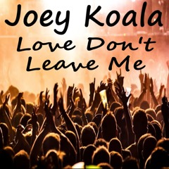 Joey Koala - Love Don't Leave Me