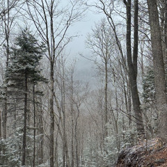 Come a Little (Closer)