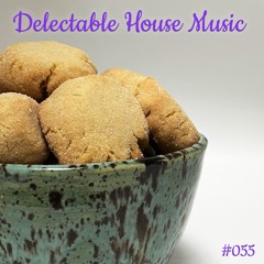 Delectable House Music #048