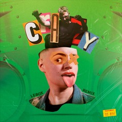 Gnarls Barkley - Crazy (Lebox Remix) *FREE DOWNLOAD CLICK BUY*