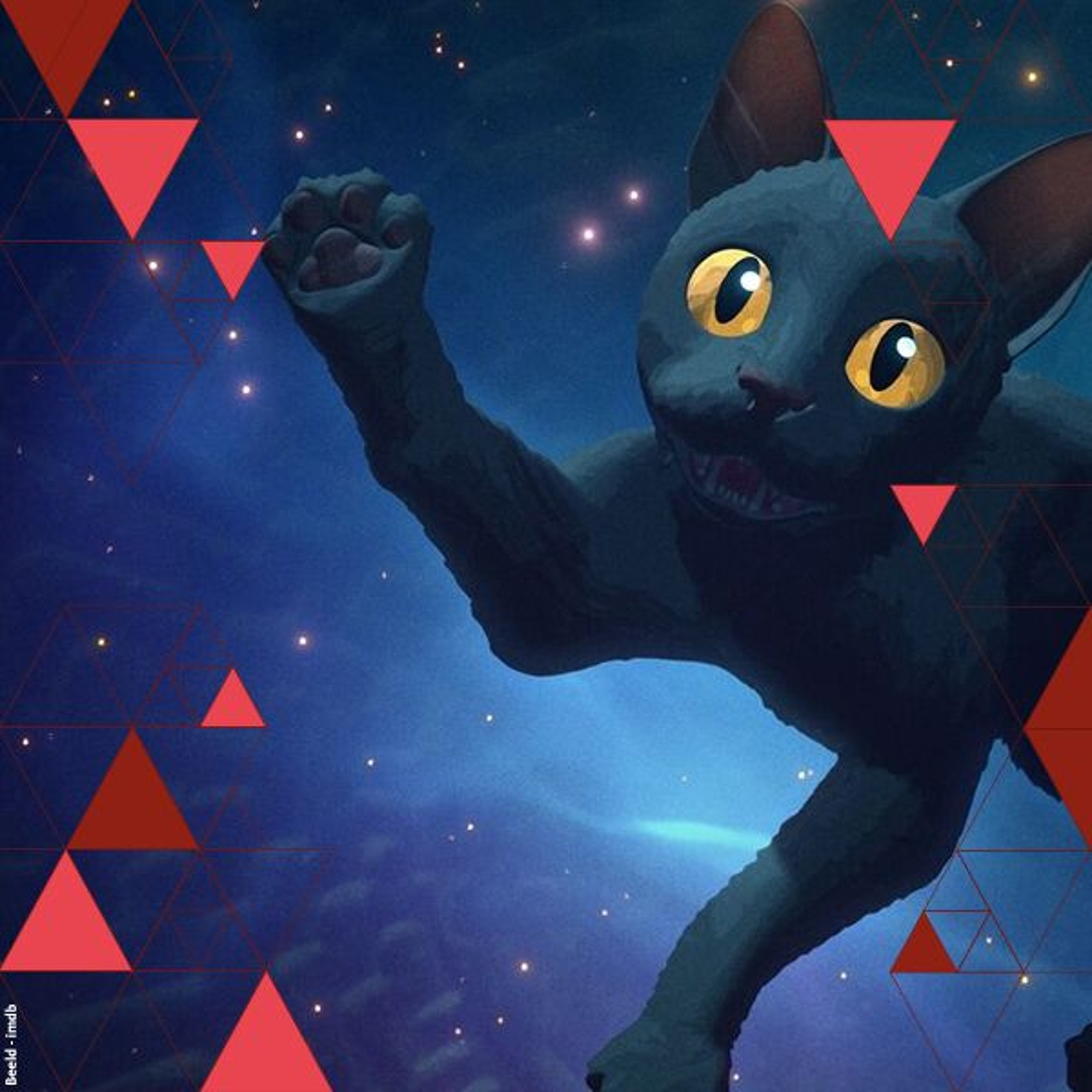 Flow. Waarom we dieren menselijke trekken geven | Filosoof Bas van Woerkum-Rooker episode artwork