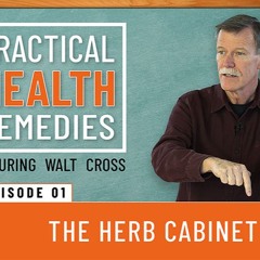 Practical Health Remedies by Walt Cross