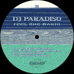 Premiere: DJ Paradiso - MYB To The Beat [Trance-Atlantyk]