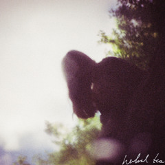 herbal tea- Seventeen