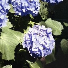2 - Tomorrow Is Beautiful! (w  Glenn Astro)