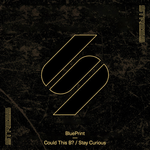 Could This B? (Extended Mix)