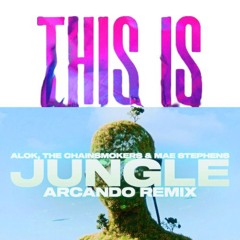 This Is The Life x Jungle - (Laumatic Mashup) LIZOT x (Arcando Remix)