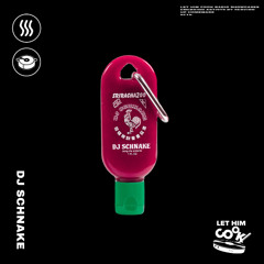 DJ SCHNAKE | LETHIMCOOK radio - Chipiecore