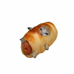 RANDOM PILE OF мевшня STUFF