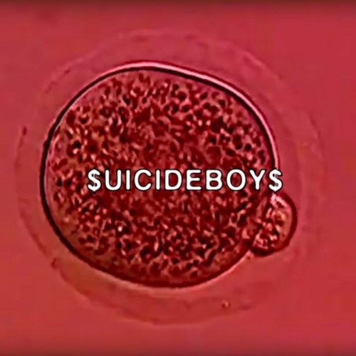 suicideboys - that just isn't empirically possible { slowed + reverb }