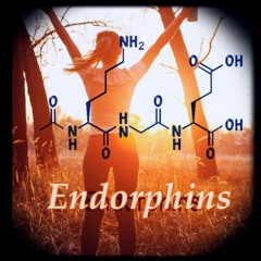 - ENDORPHINS - Natural Mood Elevator & Painkiller (Reduced Pain & Anxiety, Improved Well-Being)
