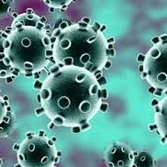 HORMONAL BETA - TEST 2020