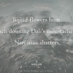 Nature's Broken Beauty (naviarhaiku568)