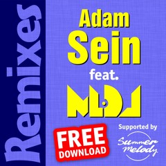 [free download] Adam Sein - Lazy Summer (MLDJ Remix)