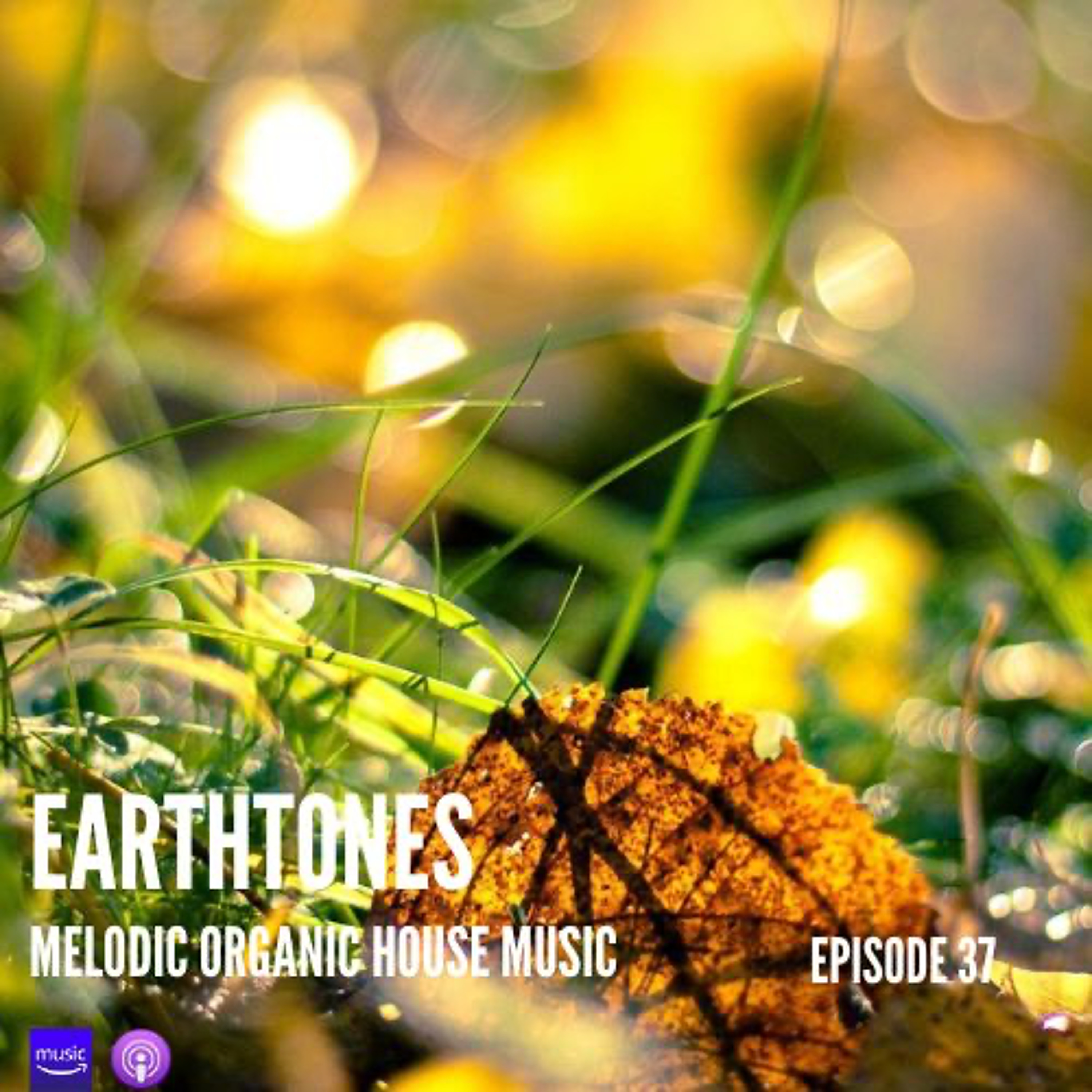Earthtones - Episode 37