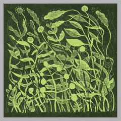 Verre (feat. Matt Davies)
