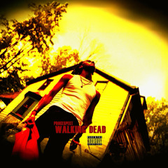 WALKING DEAD ( video in description )
