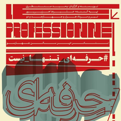 Professional_Pouya_Norouzi