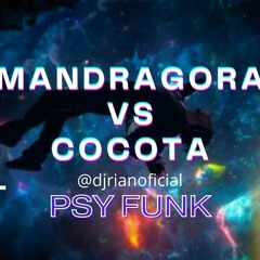 MADRAGORA VS COCOTA - DJ Rian Oficial (PSY&FUNK)