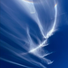 tarræ med hjem. feat [borsken][sky][bobla]