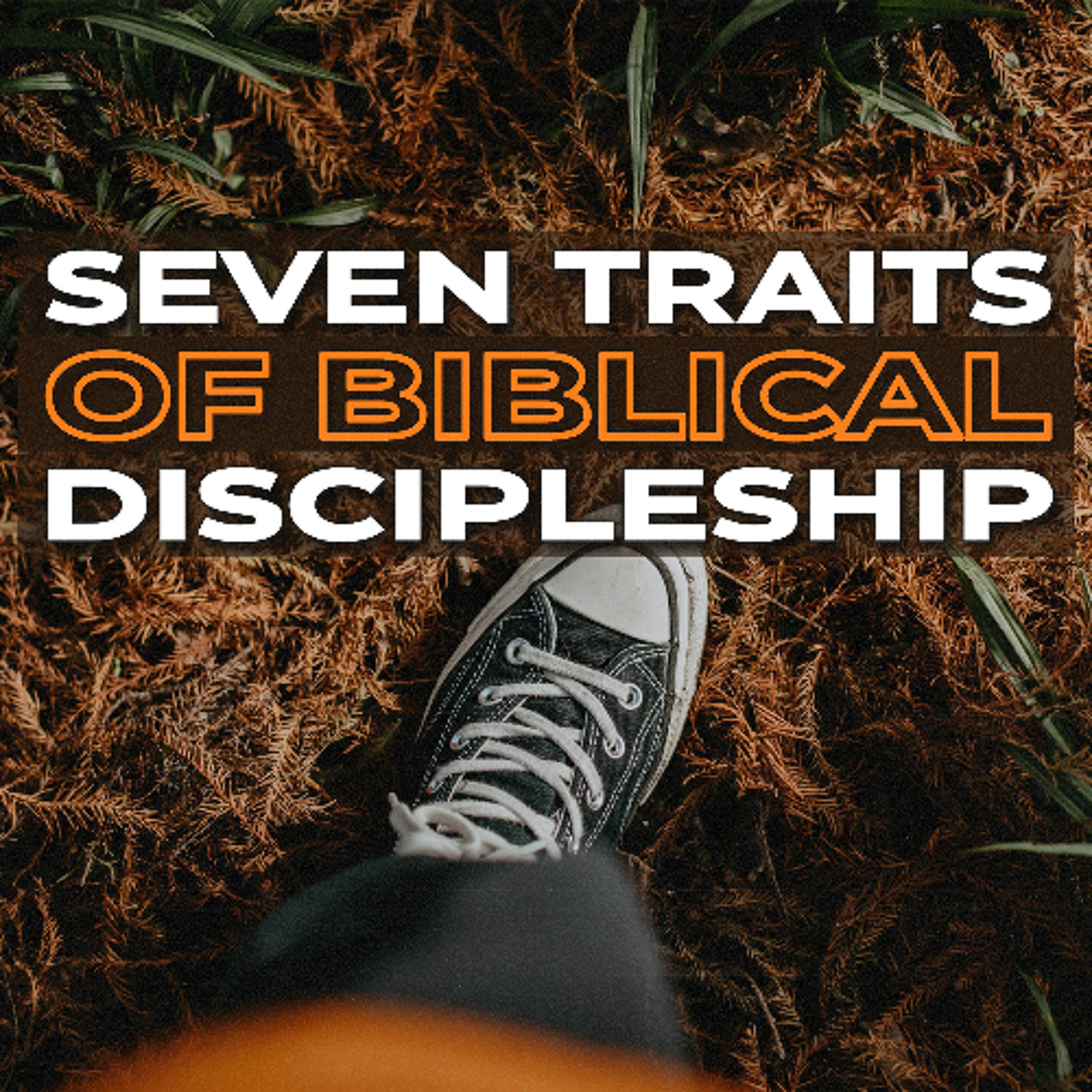 Seven Traits of Biblical Discipleship episode artwork