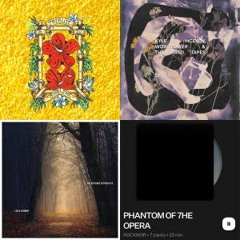 Spotishine