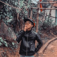 rorigo-1203-nanphongtrần