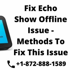 Fix Echo Show Offline Issue - Methods To Fix This Issue