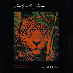 Wild Affairs - Lonely In The Morning (Original Mix)