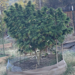 End of an era (prod. MARK$MAN)