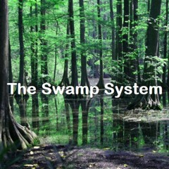 TheSwampSystem !!! DR12 [14sept2021]24bit