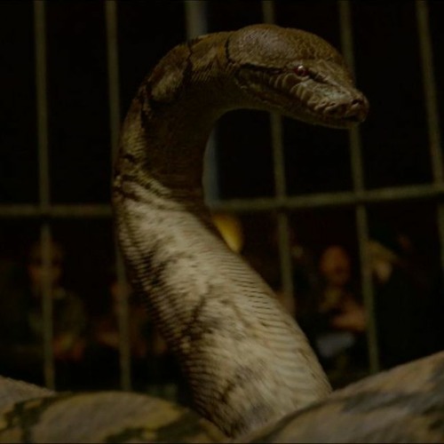 The Call Of Resurrection