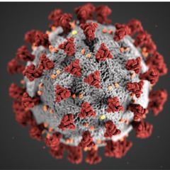 THE REM GUY - PANDEMIC